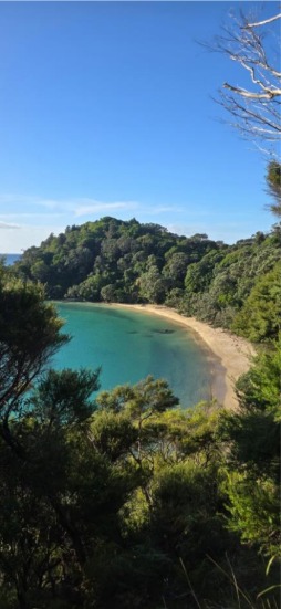 A sheltered bay on New Zealand's Northland coast
